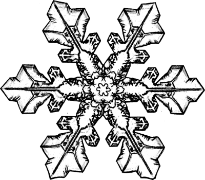 _images/snowflake.jpg